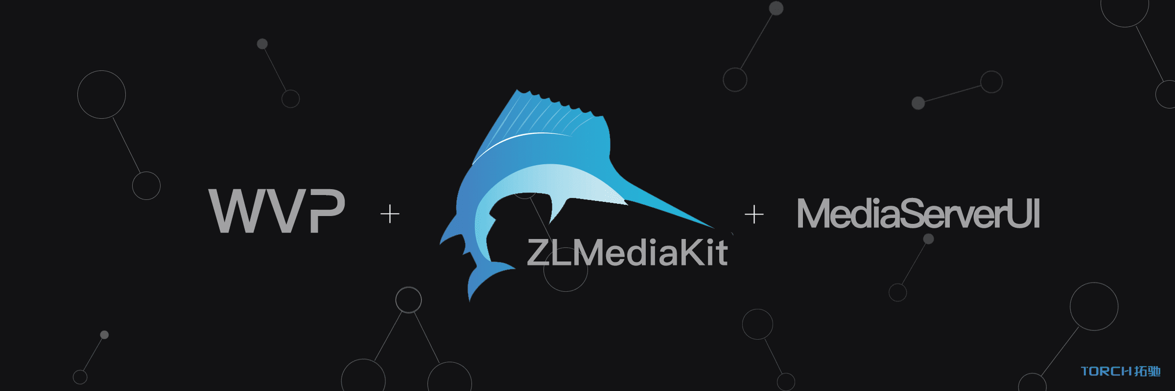 WVP+ZLMediaKit+GB28181 实现 IPC/NVR 视频监控接入：准备工作